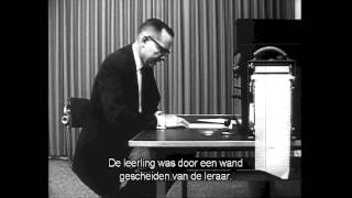 Milgram Experiment  Big History NL threshold 6 [upl. by Ailemak]