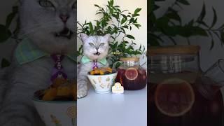 Wow🤩 You Must Try The Refreshing Sour Plum Soup✌️💦 catsofyoutube foodlover tiktok [upl. by Gwenette581]