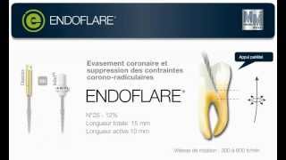 Endoflare  Micro Mega [upl. by Tirza]