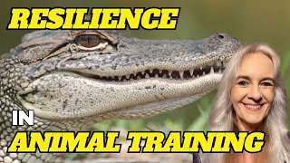 An Exploration Of Resilience In Animal Training [upl. by Dnomaid648]