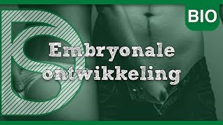 Biologie  Embryonale ontwikkeling Voortplanting [upl. by Shel]