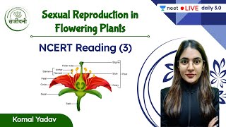 Sexual Reproduction in Flowering Plants  NCERT Reading 3  Unacademy NEET  Komal Yadav [upl. by Niel]