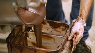 How Chocolate is Made [upl. by Lauder]