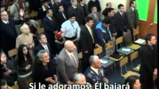 alabanzas congregacionales del Tabernaculo la Voz de Dios [upl. by Isiah328]