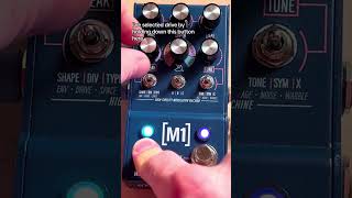 Walrus Audio M1 is THE Lofi Modulation Pedal [upl. by Harwell702]