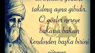 Mevlana Sözleri 🌹 Dinleyin İlaç Gibi Gelecek 🌹 Suskunluğum asaletimdendir mevlana [upl. by Aviv768]