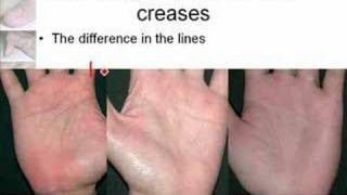 Palmistry amp Palm Reading Secrets [upl. by Kitti]