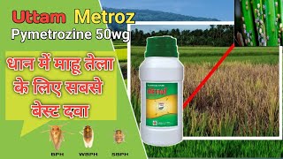 Uttam metroz pymetrozine 50wg insecticide धान में करें महू तेला का सफाया bph control insecticide [upl. by Bogosian]