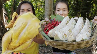 Tasty Roasted Jack Fruit with Chicken recipe in my village roastChicken Jackfruit [upl. by Wohlert]