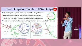 Liang Huangs invited talk 11th mRNA Health Conference Berlin 23 Optimized mRNA Design Nature [upl. by Fong412]