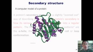 Chapter 23 – Protein Chemistry Part 4 of 4 [upl. by Harrington]