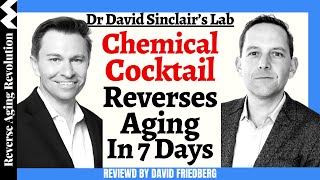 Dr David Sinclair Lab quotChemical Cocktail Reverses Agingquot Reviewed By David Friedberg [upl. by Hennessy]