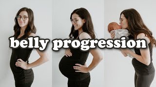 PREGNANT BELLY PROGRESSION  Week by Week Transformation [upl. by Nhguavaj]