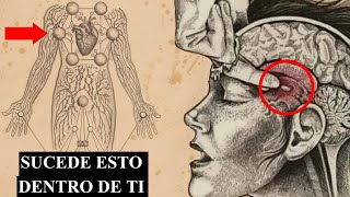 SECRETOS DE LA GLÁNDULA PINEAL Descubre lo que te sucede de las 10 pm a las 3 am [upl. by Ayokahs]