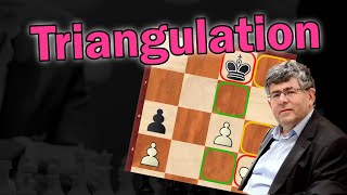 Study Chess with me  Dvoretsky on Triangulation [upl. by Nywrad]