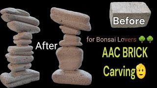 AAC Brick carving for root over rock style Bonsai [upl. by Herminia]