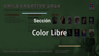 Salón Chile Creativo 2024  Juzgamiento Sección Color Libre [upl. by Yenrab]