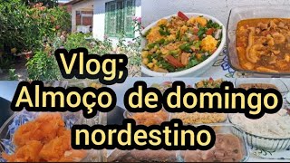 Vlog almoço de domingo nordestino [upl. by Ahsinor]