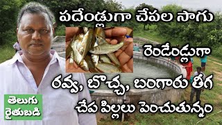 విజయవంతమైన చేపల రైతు అనుభవాలు  Successful Fish Farmer  తెలుగు రైతుబడి [upl. by Retsof]