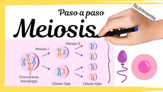 MEIOSIS Paso a Paso [upl. by Nancee]