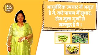 आयुर्वेदिक उपचार में अमृत है ये करे पाचन में सुधार रोग मुक्त गुणों से सम्मृद्ध है ये । [upl. by Aharon]