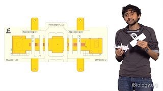 Manu Prakash Stanford Foldscope Origami Based Paper Microscopes [upl. by Hervey609]