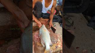 Admirable Koral Fish Cutting By Expert 😱 Amazing Sharp Knife Cutting 🫢 shorts [upl. by Nemrac629]