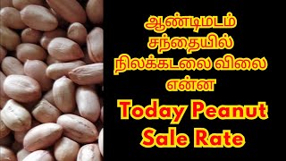 ஆண்டிமடம் சந்தையில் நிலக்கடலை விலை என்ன  Today 05092024 Peanut Rate At Andimadam Mandi  Mandi [upl. by Norraa]