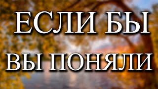 Оставьте все в покое и начнет происходить нечто [upl. by Etnomaj]