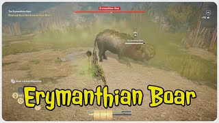 Assassins Creed Odyssey  Erymanthian Boar location and fight [upl. by Erusaert]