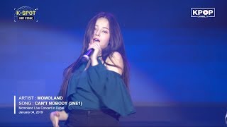 🔥 MOMOLAND  CANT NOBODY 2NE1  모모랜드 LIVE IN DUBAI Concert 2019 [upl. by Crelin541]