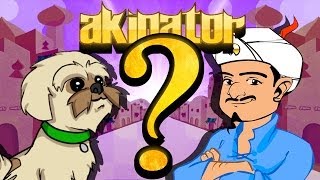 Can Akinator Guess Gryphon [upl. by Boothman941]