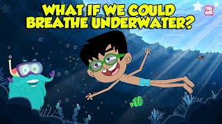 What If We Could Breathe Underwater  Humans with Superpowers  Super Freedivers  Dr Binocs Show [upl. by Ianaj]