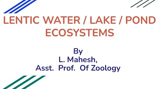 Lentic Water  Pond  Lake Ecosystems [upl. by Obla]