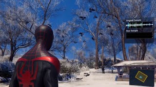 Marvels SpiderMan Miles Morales  Sound Sample Flock of Pigeons [upl. by Emilio48]