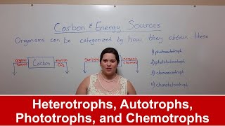 Heterotrophs Autotrophs Phototrophs and Chemotrophs [upl. by Eamanna]