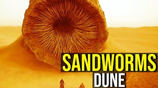 SANDWORMS The God of DUNE EXPLAINED [upl. by Liborio]