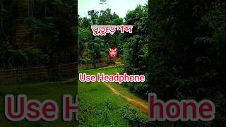 ভুতুড়ে চিৎকার। bhooter chitkat ভুতের বাড়ি Forest horror sound effect।shorts viralshorts nature [upl. by Etiragram760]