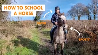 Horse Listening How to school a forward horse without an arena [upl. by Cassell]