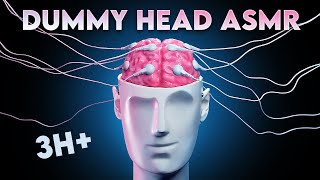 ASMR 360º DUMMY HEAD TRIGGERS The Ultimate 3D Tingle Compilation for Sleep amp Relaxation [upl. by Ramoh]