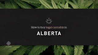 How to buy pot in Alberta [upl. by Siroved]