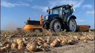 Uienrooien combinen wortelrooier verven en aardappels rooien met de hand [upl. by Bills]