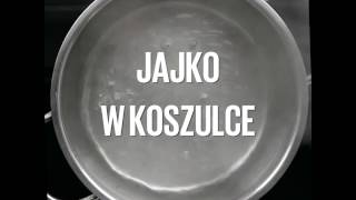 Jajko w koszulce [upl. by Illak]