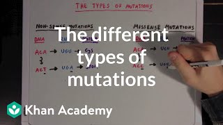 The different types of mutations  Biomolecules  MCAT  Khan Academy [upl. by Baron]