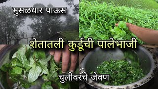 शेतातून आणली कुर्डू भाजी  चुलीवरची पालेभाजी  मुसळधार पाऊस  Kokan vegetables  Kokankar Avinash [upl. by Aholah615]