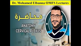 المحاضرة السادسة و الاربعون  Anatomy Cervical Plexus [upl. by Elleira]