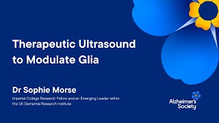 Therapeutic Ultrasound to Modulate Glia with Dr Sophie Morse [upl. by Daryn]