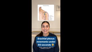 Memorize the Brachial Plexus [upl. by Yatnahs798]