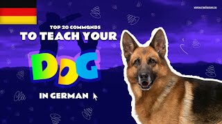 Teach Your Dog Commands In German 20 Common Words [upl. by Eira]