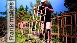 Tomato Trellises [upl. by Neddie19]